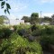 Sugar House Community Gardens at Tennis Courts