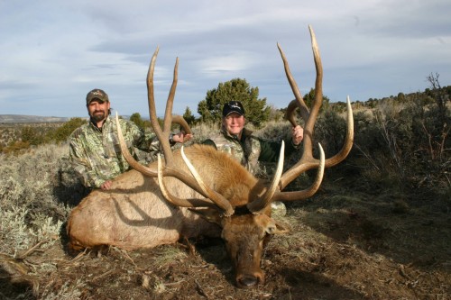 Utah State Record Elk