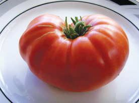 large tomato